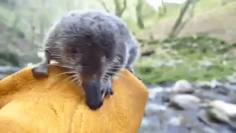 331eb624-ba1a-4631-b26a-a730c1a55184